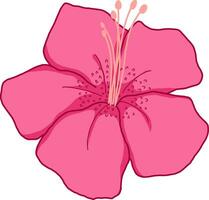 Rosa flor azálea florescendo pétala ilustração vetor