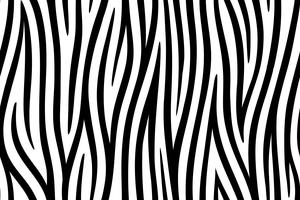 Fundo sem emenda da pele da zebra na arte gráfica de vetor. vetor