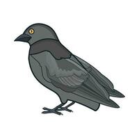 ilustração de pássaro vetor