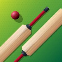 Bastão de grilo e ilustração de bola de críquete vermelho vetor