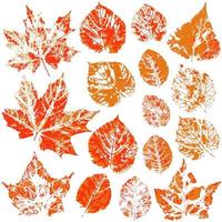 conjunto de desenhos vetoriais com tintas acrílicas. coleção de folhas de outono vetor