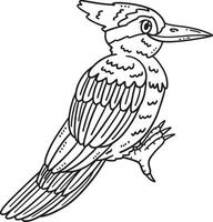 pica-pau pássaro isolado coloração página para crianças vetor