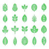 ícone conjunto do verde folhas com branco fundo vetor
