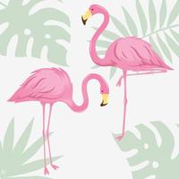 dois flamingos. ilustração vetorial para design. vetor