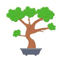 bonsai árvore dentro Panela ilustração vetor