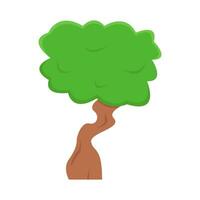 bonsai árvore ilustração vetor