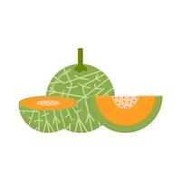 Cantalupo com Cantalupo fatia ilustração vetor