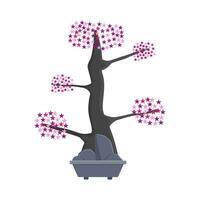 bonsai sakura flor dentro Panela ilustração vetor