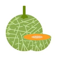 Cantalupo com Cantalupo fatia ilustração vetor