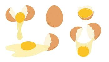 rachado frango ovos definir. plano vetor ilustração isolado em branco fundo