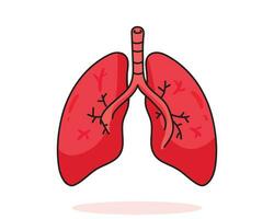 pulmão, anatomia humana, biologia, órgão, corpo, sistema, saúde, e, médico, mão desenhada, desenho, arte, illustration vetor