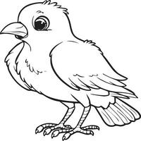 desenhos de pássaros para colorir vetor