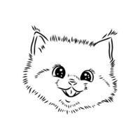 desenho animado gato esboço vetor