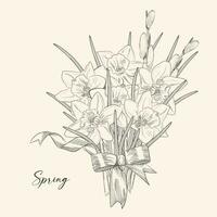 grupo do cedo Primavera flores botânico ilustração gravação estilo. vetor. Preto e branco vetor