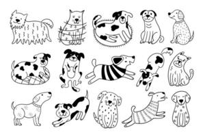 conjunto do 15 desenhado à mão cachorros em uma branco fundo. vetor