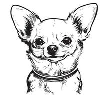 chihuahua cachorro esboço mão desenhado vetor ilustração