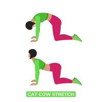 vetor mulher fazendo gato vaca esticar. chakravakasana. a educacional ilustração em uma branco fundo.