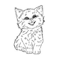 desenho animado gato vetor esboço