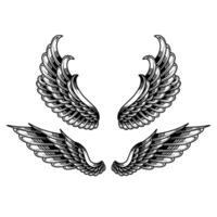 vetor conjunto do vintage anjo asas tatuagens