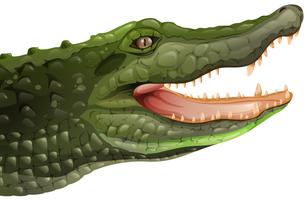 Um crocodilo vetor