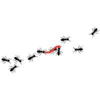 vetor ilustração do uma grupo do trabalhador formigas caminhando carregando Comida juntos em uma branco fundo. formigas levar vermes. Difícil trabalhos conceito.