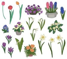 Primavera Tempo flores coleção. clipart conjunto do gotas de neve, tulipas, narciso, amores-perfeitos, açafrão, jacinto, prímula, calêndulas, petúnias, lírios do a vale. vetor ilustrações isolado em branco.