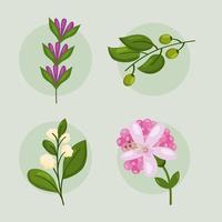 quatro ícones da natureza da primavera vetor