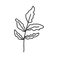 branch leafs hand draw vetor