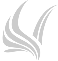 logotipo do falcão vetor