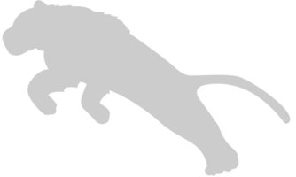 jaguar vetor
