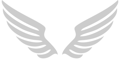 asas de anjo vetor