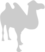 animal causas camelo vetor