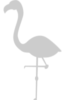 flamingo vetor