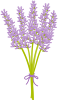 flor de lavanda vetor