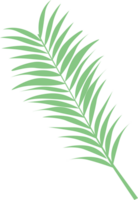 folha de palmeira vetor