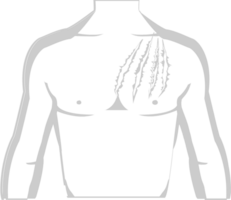 garra coçar, arranhão em corpo vetor