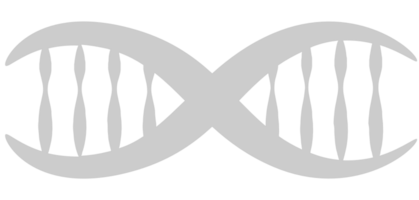 biologia dna vetor