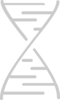 biologia dna vetor