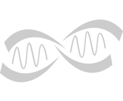 biologia dna vetor