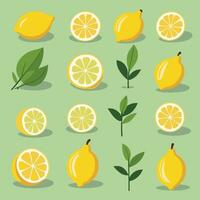 limão plano desenho animado ilustração vetor