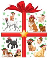 Tema de Natal com cães fofos e caixa de presente vetor