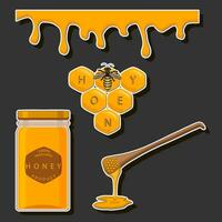 ilustração em tema açucarado fluindo baixa querida dentro favo de mel com abelha vetor