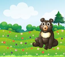 Um urso pardo sentado no jardim vetor