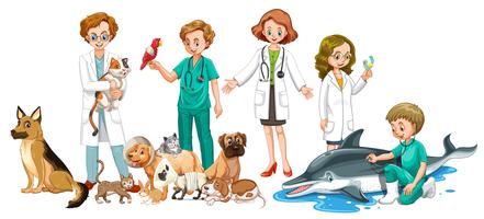 Veterinários e muitos animais vetor