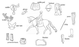 esporte equestre infográficos arnês de cavalo e equipamento de cavaleiro no centro de um cavaleiro montado em um cavalo vetor