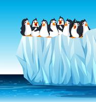 Pinguins em pé no iceberg vetor