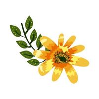 flor amarela exótica vetor