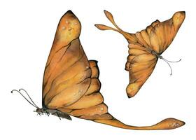 mão desenhado aguarela ilustração borboleta fada asas gema cristal inseto mariposa. âmbar sardônica ônix topázio jaspe. solteiro objeto isolado em branco fundo. Projeto imprimir, comprar, casamento, aniversário vetor