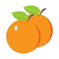 modelo de design de vetor de logotipo de ícone laranja