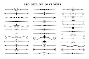 pacote de mega coleção de elementos de decoração de divisores florais vetor